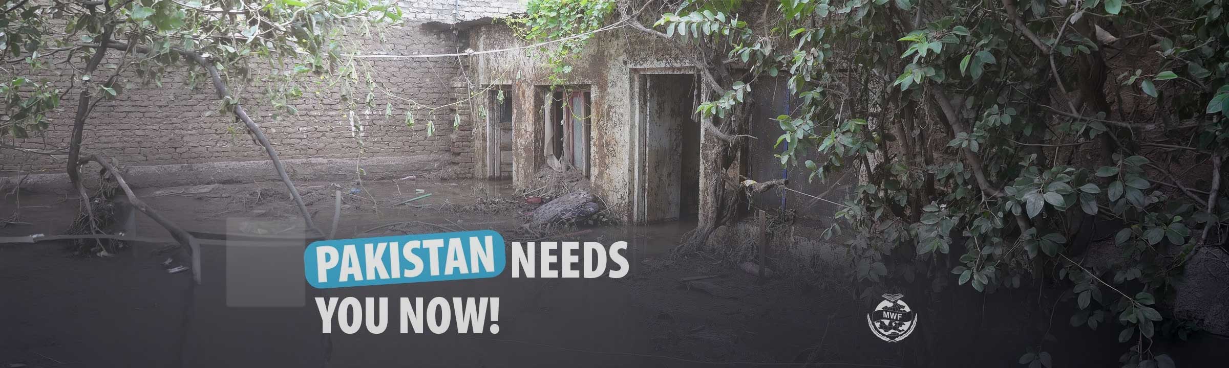 Pakistan Flood Relief