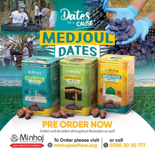 Palestinian Medjoul Dates